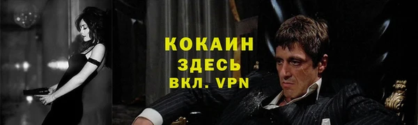 молекула духа Белокуриха