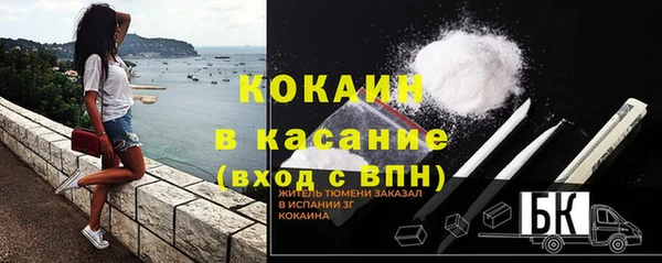 молекула духа Белокуриха